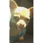 Cacapoopoopeepeediareah