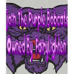 The Purple Bobcats Cheer Group