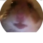 miau ruhr slay