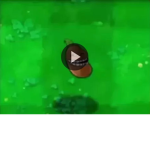 60%