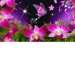 The Purple Flower