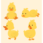 Silly duck group