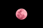 Pink moons cheer