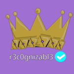 R3c0gnizabl3's Team