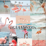 iiGLAMINGOx