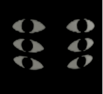 Peeper Coalition