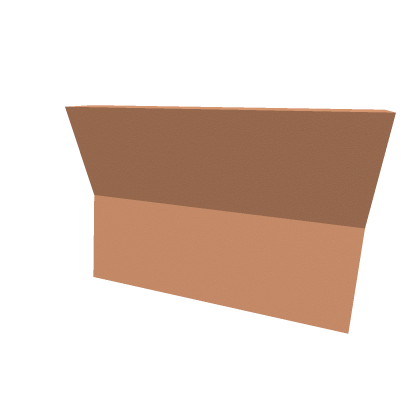 a ROBLOX glitch