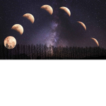 •Moon and Love•