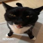 Whom. Group Thumbnail