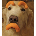 ~Lil Cheeto puffs!~