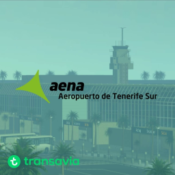 Air France | Tenerife Souh International Airport