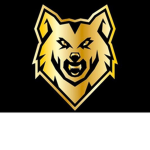Arztozkan Group