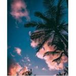 sunsetland group