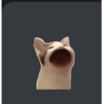 BeastPlayz