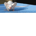 Canadien Mouse Army