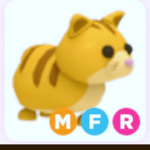 Ginger Cat Army Forever