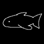 silly fish group