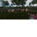 Pinecreek pack.