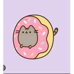 Pusheen house
