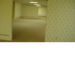 The backrooms