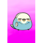 Idk what this is…