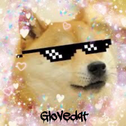 Glovedqt's HomeStore