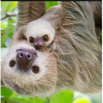 None