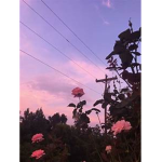 CloudxyClothing