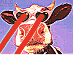 THECOOL army