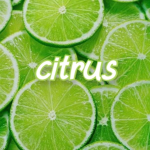 • citrus •