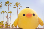 duck tails