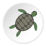 TiniestTurtle Studios