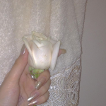 madii's angelss