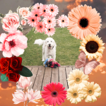 | Flower Squad |