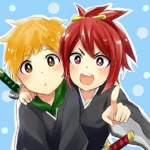 Official sins