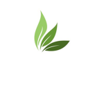 CodedLeaf Studios