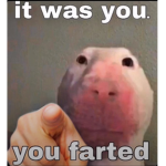 | * 0 * |