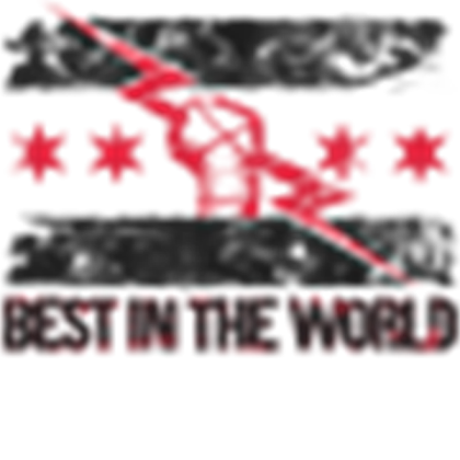 cm punk shirt Roblox decal