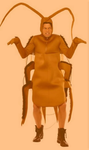 My Fav Roaches