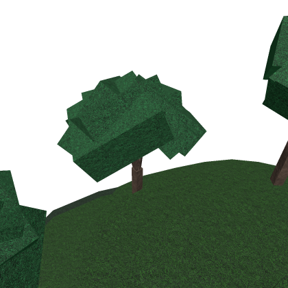 Mini Forest Map.