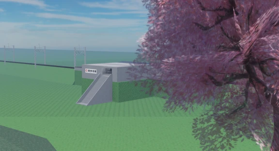 image5