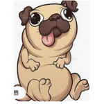 Pugs are the best pet in the world