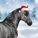 Aurenvale🎄[CHRISTMAS]