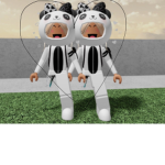Panda group (fun)