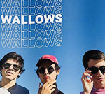 Wallows Fans!!!