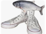 FishyOnShoe