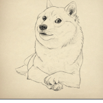 E Doge’s