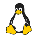 The | Noobies
