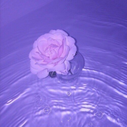 Purple Aesthetic Roblox decal