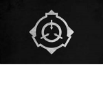The superb raiding group